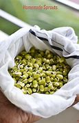 Image result for Billy Logan Sprouts