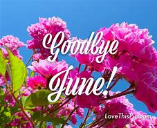 Image result for Goodbye June Meme