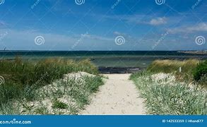 Image result for Landscaped Path Beach