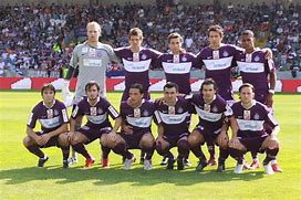 Image result for Austria Wien FC