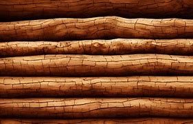 Image result for Wood Wall Texture Log