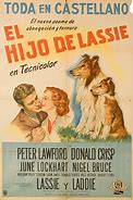 Image result for Lassie First Appearance