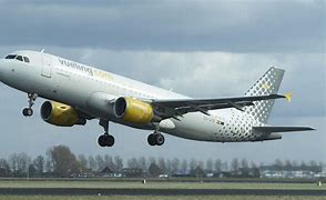 Image result for Airbus A320 Bulk Luggage