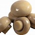 Image result for 1-Up Mushroom PNG