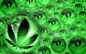 Image result for Weed Background 1920X1080