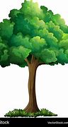 Image result for Tree Anout Me