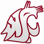 Image result for Wazzu Logo HD