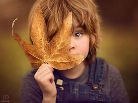 Image result for Fall Photographer Mom Kids