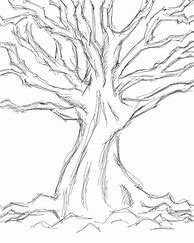 Image result for Tree Pencil Clear Sketch