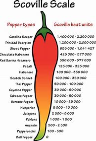 Image result for Scala Scoville