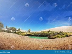 Image result for Beautiful Desert Oasis