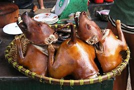 Image result for Dog Meat Recipes