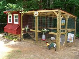 Image result for Back Yard Chicken Co-op Ideas