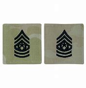 Image result for Army Rank OCP Badge