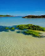 Image result for Isle of Coll Grapevine