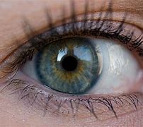 Image result for Dark Grey Hazel Eyes