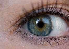 Image result for Dark Hazel Eyes