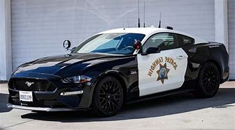 Image result for Qld Police Mustang