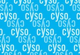 Image result for CYS Loso