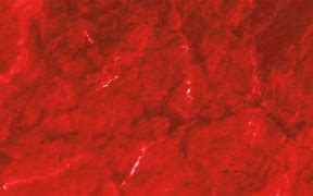 Image result for Red Background HD