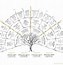 Image result for Family Tree Pretty