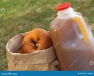 Image result for Cider Donuts