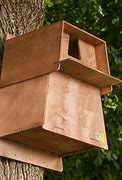 Image result for Barn Owl Nest Box Patterns