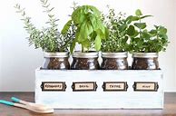 Image result for DIY Mason Jar Herb Garden