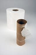 Image result for Toilet Paper Waste