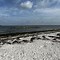 Image result for Apollo Beach Nature Preserve