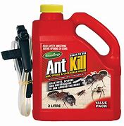 Image result for Ant Medication