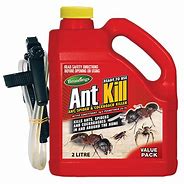 Image result for Ant Drops