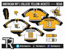 Image result for NCAA Ice Hockey Logo