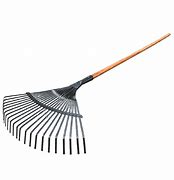 Image result for Rake Human Form