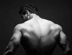 Image result for Back Muscle Wallpaper