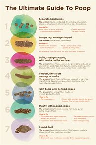 Image result for Know Your Poop Chart