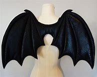 Image result for Bat Wings Costume