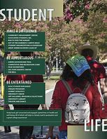 Image result for Sac State Class of 28