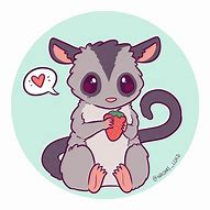 Image result for Adorable Sugar Glider