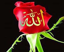 Image result for Allah Flowers