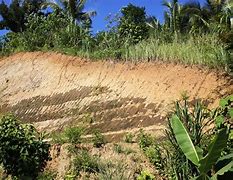 Image result for Tropical Soil