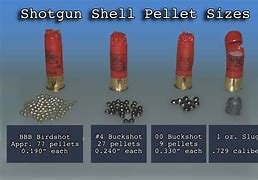 Image result for Birdshot Shells