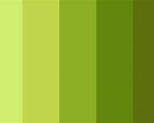 Image result for Olive Green Hex