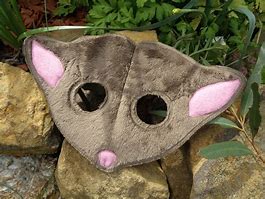 Image result for Possum Mask