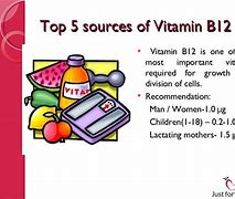 Image result for B12 Sources