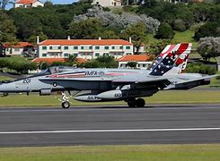 Image result for VMFA-115