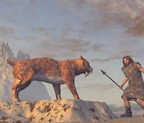 Image result for Sabertooth Tiger Prey