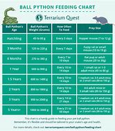 Image result for Reptile Feeding Chart