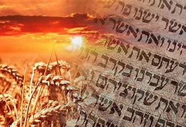 Image result for Israel Shavuot