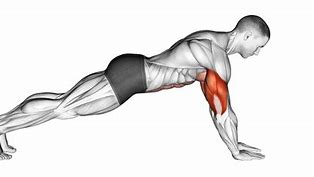 Image result for Push UPS for Arms